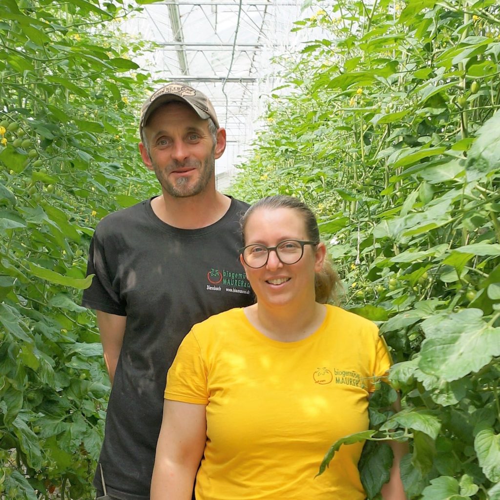 Bio Gemüse Anbau Gewächshaus mit Gemüsebauer