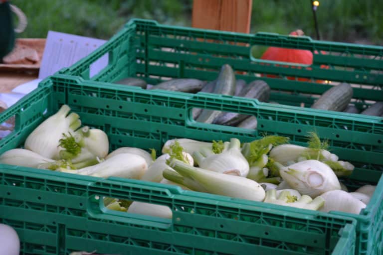 Bio Genuss in Murten Bio Gemüse Stände 2023