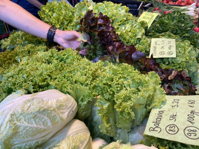 am Marktstand von biogemüse Maurer