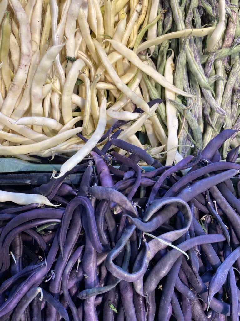 am Marktstand von biogemüse Maurer